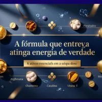 Cliente BMF Intelligence